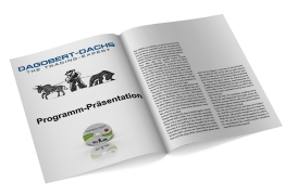 Programm-Präsentation (PowerPoint)